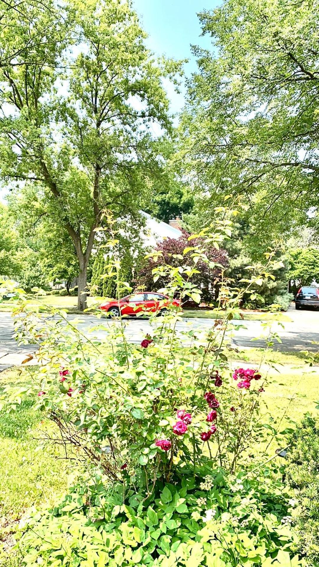 B2 A Private Room In Naperville Downtown With Desk And Wi-Fi Near Everything Luaran gambar