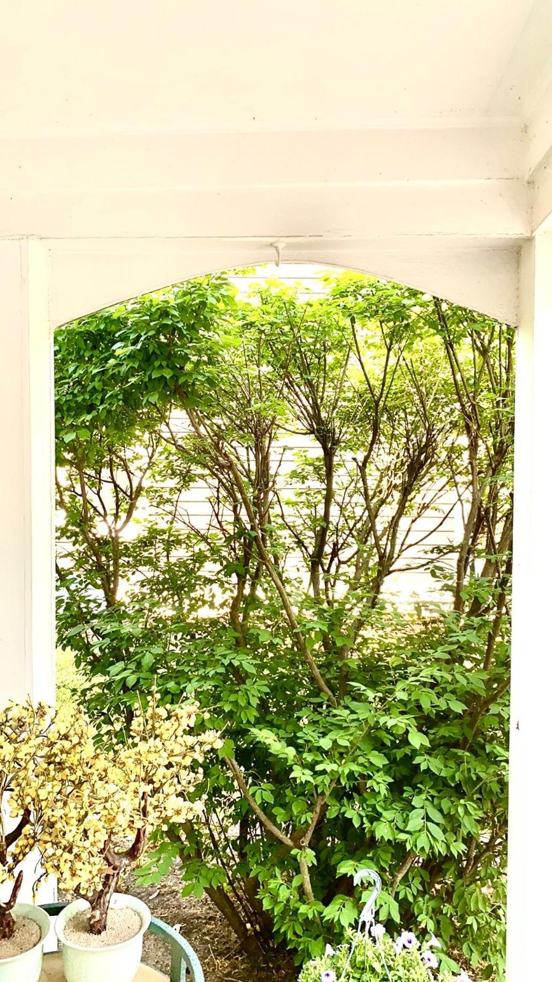 B2 A Private Room In Naperville Downtown With Desk And Wi-Fi Near Everything Luaran gambar